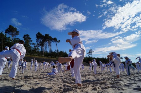 Taekwondo Gromowski Zajęcia sportowe dla dzieci w wieku szkolnym