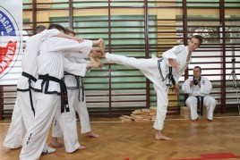 Taekwondo egzamin Gromowski