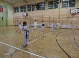 Taekwondo Działdowo3