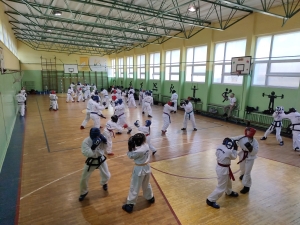 Taekwondo Toruń Gromowski13