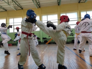 Taekwondo Toruń Gromowski24