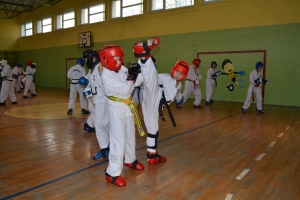 Taekwondo Toruń Gromowski3