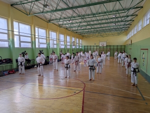 Taekwondo Toruń Gromowski46