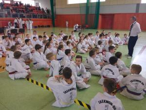 Taekwondo Radzanów 137