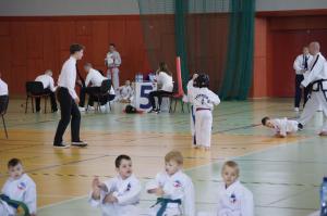 Taekwondo Grudusk 81