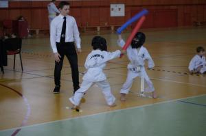 Taekwondo Grudusk 83