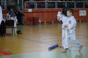 Taekwondo Grudusk 84