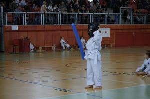 Taekwondo Grudusk 85