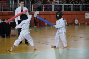 Taekwondo Grudusk 87
