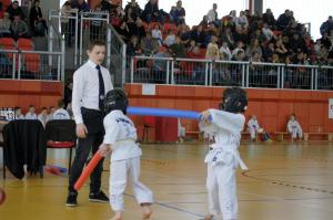 Taekwondo Grudusk 89