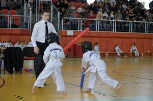 Taekwondo Grudusk 91