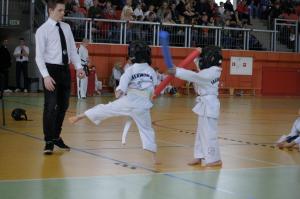 Taekwondo Grudusk 95