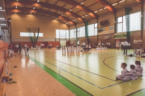 Taekwondo Nidzica3-Gromowski