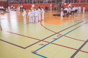 Taekwondo Sochaczew6-Gromowski