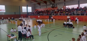Taekwondo Toruń1-Gromowski