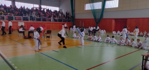 Taekwondo Toruń4-Gromowski