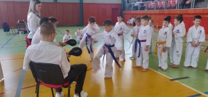 Taekwondo Toruń44-Gromowski