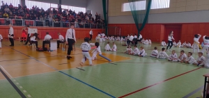 Taekwondo Toruń5-Gromowski