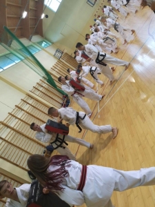 Taekwondo Działdowo Toruń Chełmża Wąbrzeźno Golub-Dobrzyń24