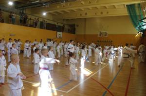 taekwondo toruń Działdowo Chełmża Mława46
