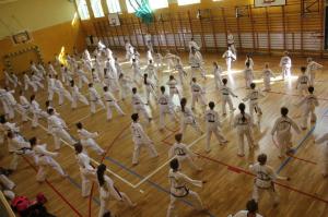 taekwondo toruń Działdowo Chełmża Mława68