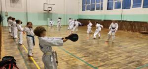 Taekwondo Chełmża (2)