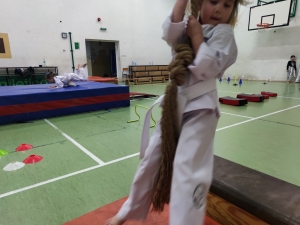Taekwondo Toruń14