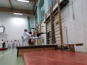 Taekwondo Toruń16