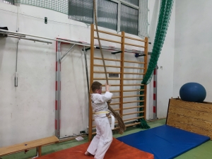 Taekwondo Toruń29