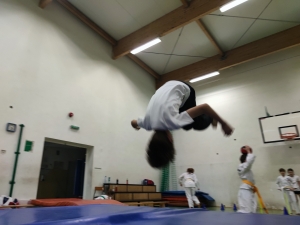 Taekwondo Toruń43