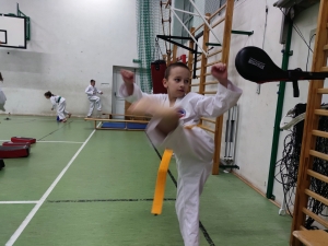 Taekwondo Toruń48