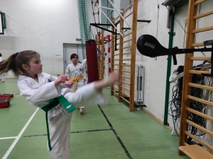 Taekwondo Toruń57