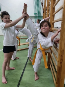 Taekwondo Toruń65